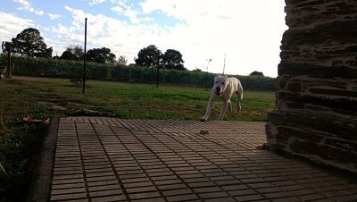jugando!!!